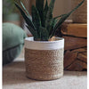 Woven Basket with Colored Rim - RusticReach