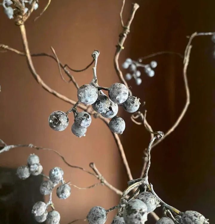 Zen Style Blue Berry Stem 37.5" Tall - RusticReach