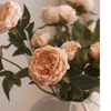 Artificial Sophia 2 - Head Peony Stem 20.8" Tall - RusticReach