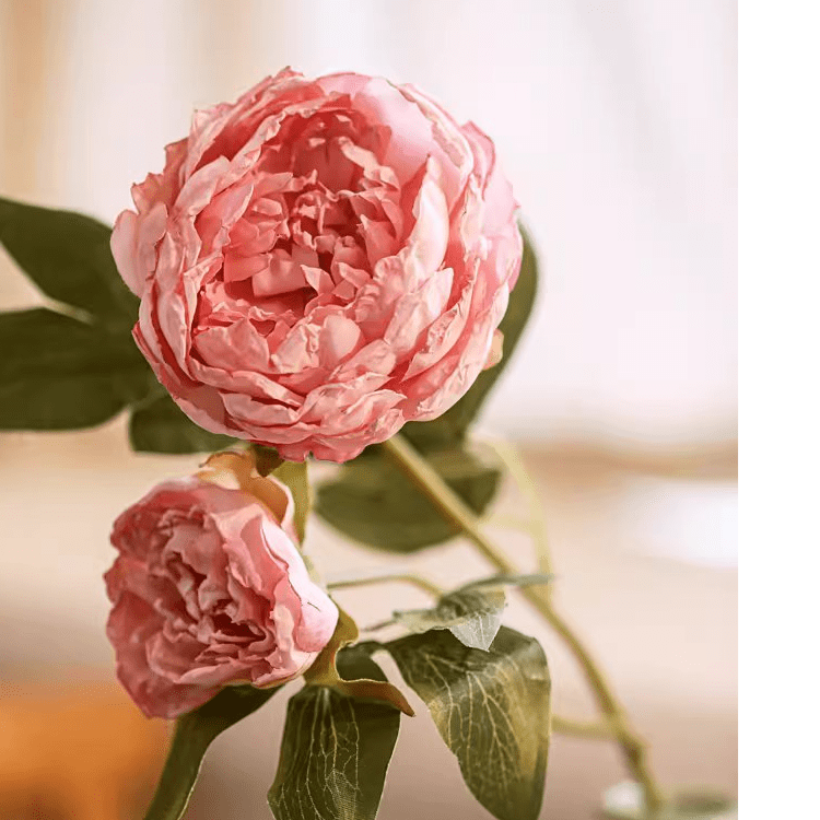 Artificial Sophia 2 - Head Peony Stem 20.8" Tall - RusticReach