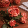 Artificial Sophia 2 - Head Peony Stem 20.8" Tall - RusticReach