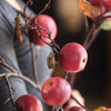 Faux Red Apple Branch Stem 36" Tall - RusticReach