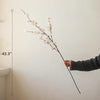 Blushing Cherry Blossom Branch 43.3" Tall - RusticReach