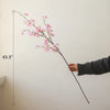 Blushing Cherry Blossom Branch 43.3" Tall - RusticReach