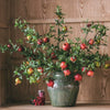 Big Fruit Faux Pomegranate Stem 32" Tall - RusticReach