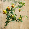 Big Fruit Faux Pomegranate Stem 32" Tall - RusticReach