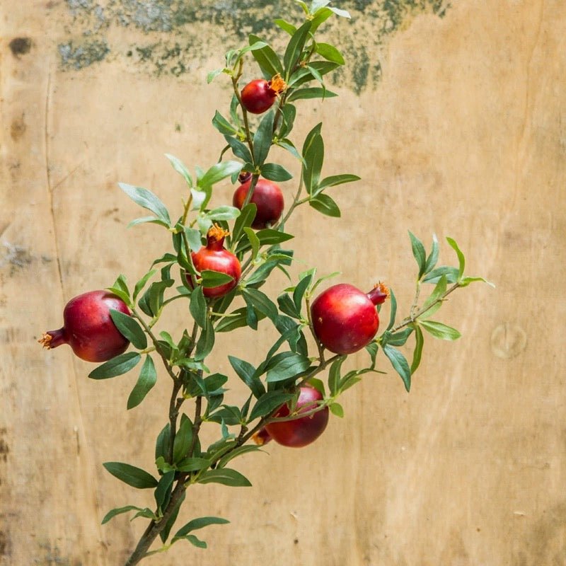 Big Fruit Faux Pomegranate Stem 32" Tall - RusticReach