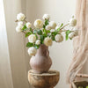 White Cabbage Rose Stem 20.8" Tall - RusticReach