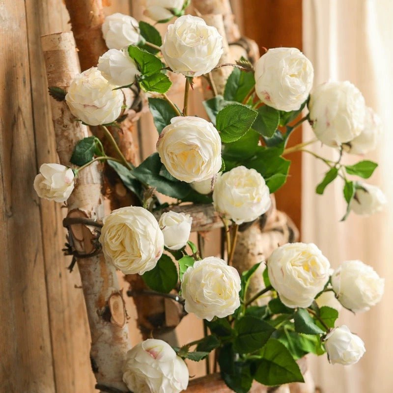 White Cabbage Rose Stem 20.8" Tall - RusticReach