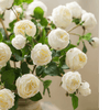 White Cabbage Rose Stem 20.8" Tall - RusticReach