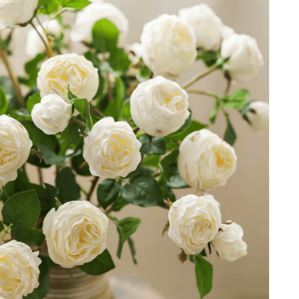White Cabbage Rose Stem 20.8" Tall - RusticReach