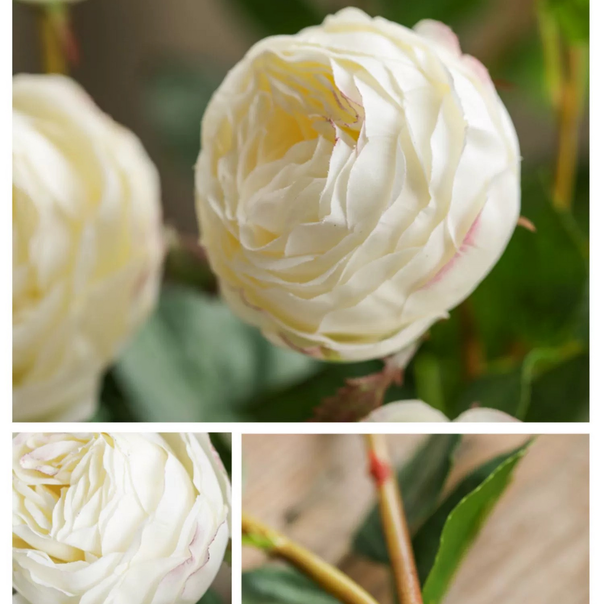 White Cabbage Rose Stem 20.8" Tall