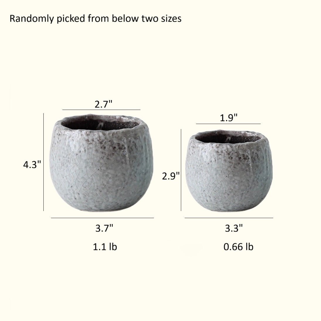 Crackle Glazed Succulent Pot Randomly Picked Set of 5 - RusticReach