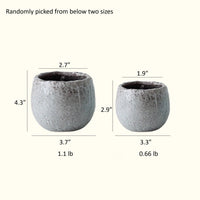 Crackle Glazed Succulent Pot Randomly Picked Set of 5 - RusticReach