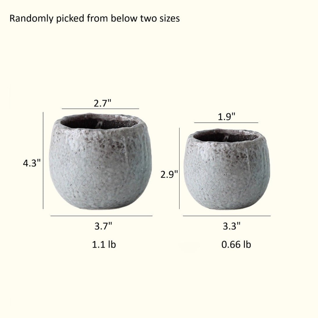 Crackle Glazed Succulent Pot Randomly Picked Set of 5 - RusticReach