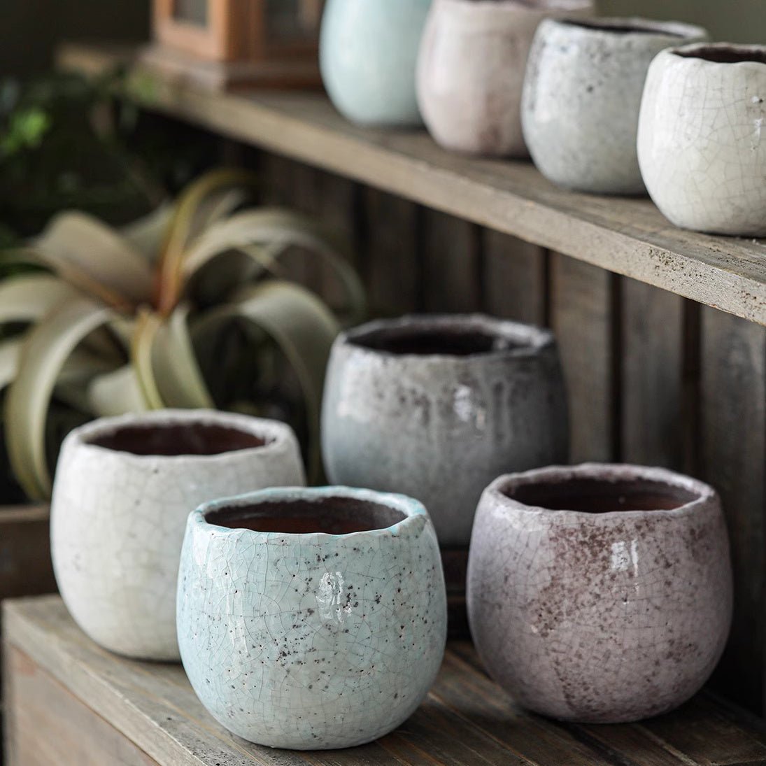 Crackle Glazed Succulent Pot Randomly Picked Set of 5 - RusticReach