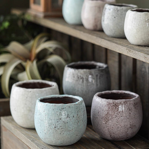 Crackle Glazed Succulent Pot Randomly Picked Set of 5 - RusticReach