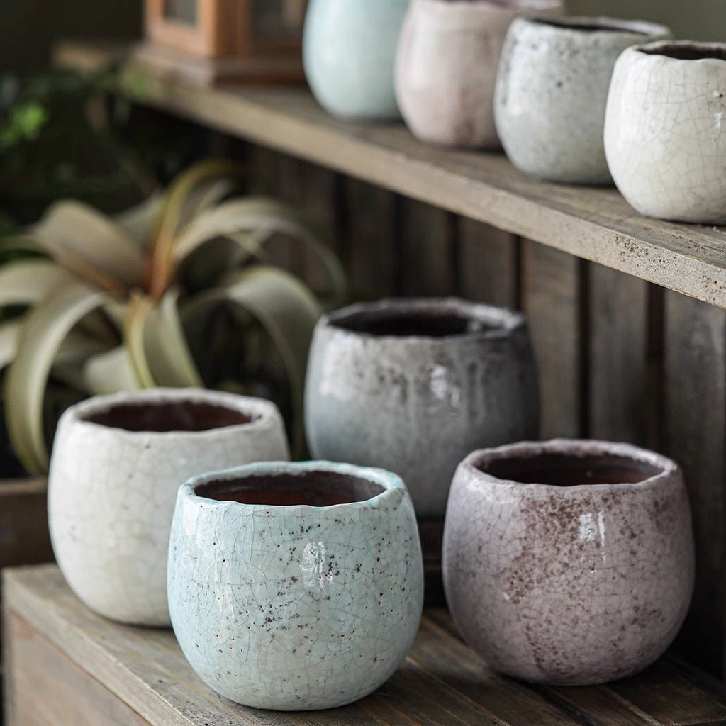 glazed succulent pots Crackle Glazed Succulent Pot Randomly Picked Set of 5 – RusticReach