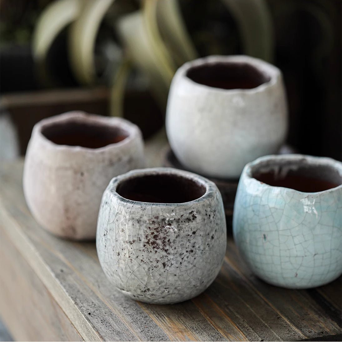 Crackle Glazed Succulent Pot Randomly Picked Set of 5 - RusticReach