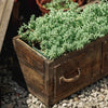 Farmhouse Wooden Box for Succulents or Flowers - RusticReach