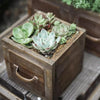 Farmhouse Wooden Box for Succulents or Flowers - RusticReach