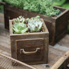 Farmhouse Wooden Box for Succulents or Flowers - RusticReach