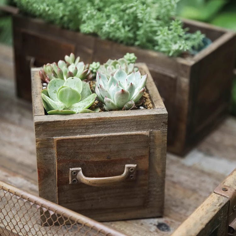 Farmhouse Wooden Box for Succulents or Flowers - RusticReach
