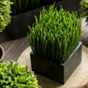 Faux Grass in Black Pot - RusticReach