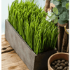 Faux Grass in Black Pot - RusticReach