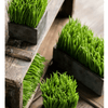 Faux Grass in Black Pot - RusticReach