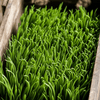 Faux Grass in Black Pot - RusticReach