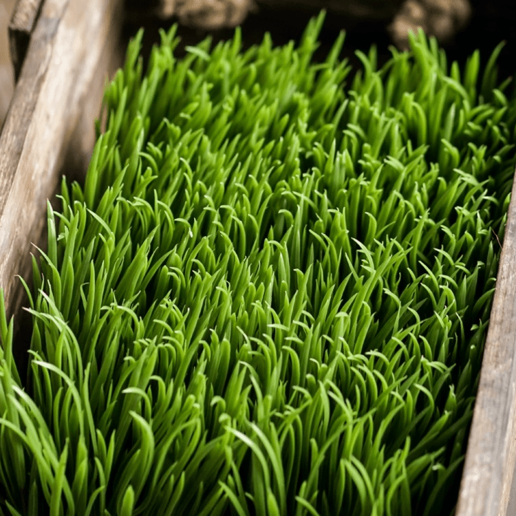 Faux Grass in Black Pot - RusticReach