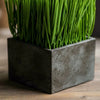 Faux Grass in Black Pot - RusticReach