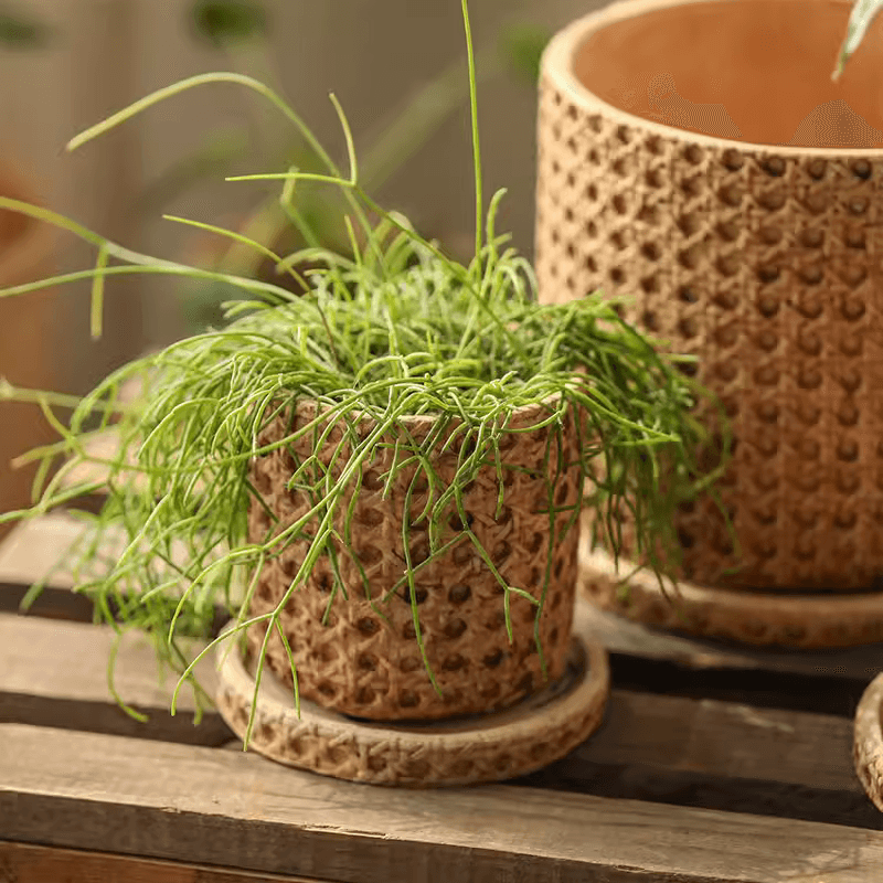 Faux Woven Grid Cement Pot - RusticReach