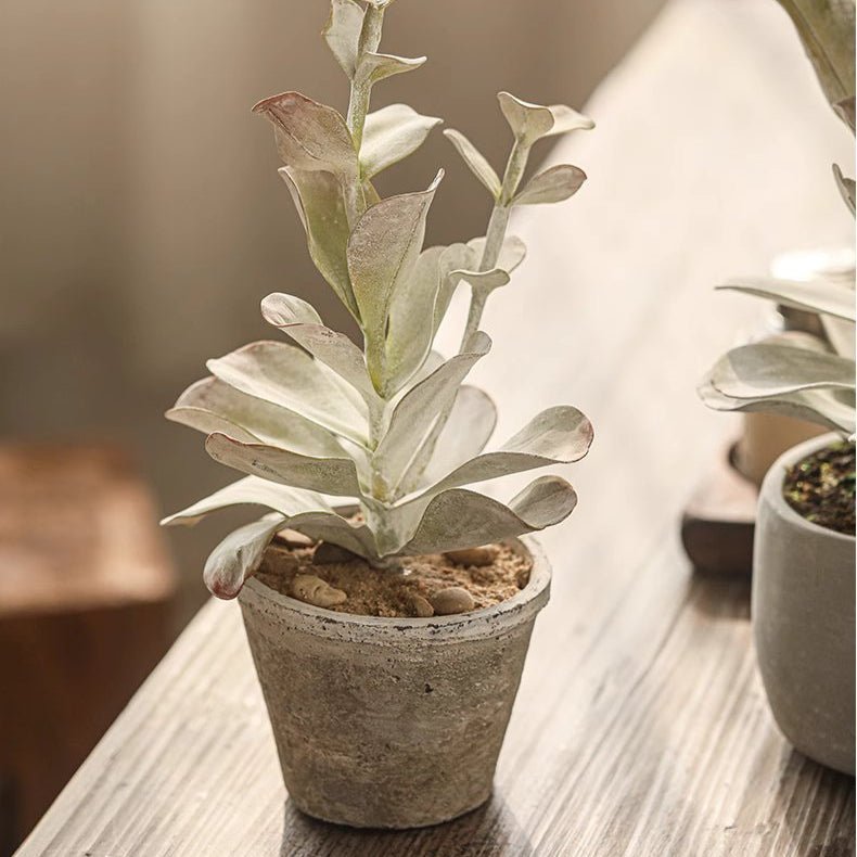 Realistic Green Plant in Ceramic Pot - RusticReach