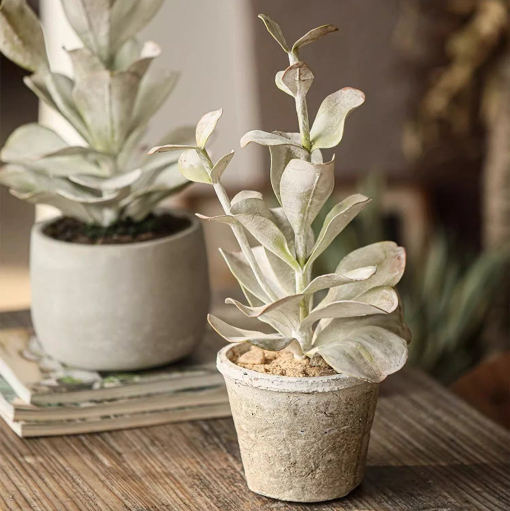 Realistic Green Plant in Ceramic Pot - RusticReach