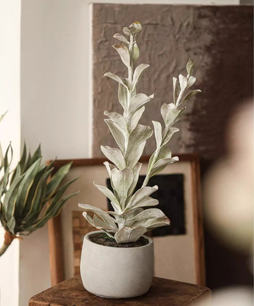 Realistic Green Plant in Ceramic Pot - RusticReach