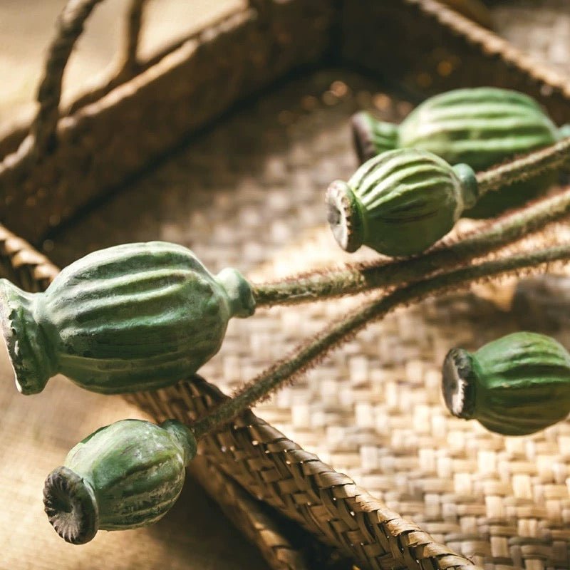 Green Poppy Fruit Stem 30.7" Tall 3 - Stem Bundle - RusticReach