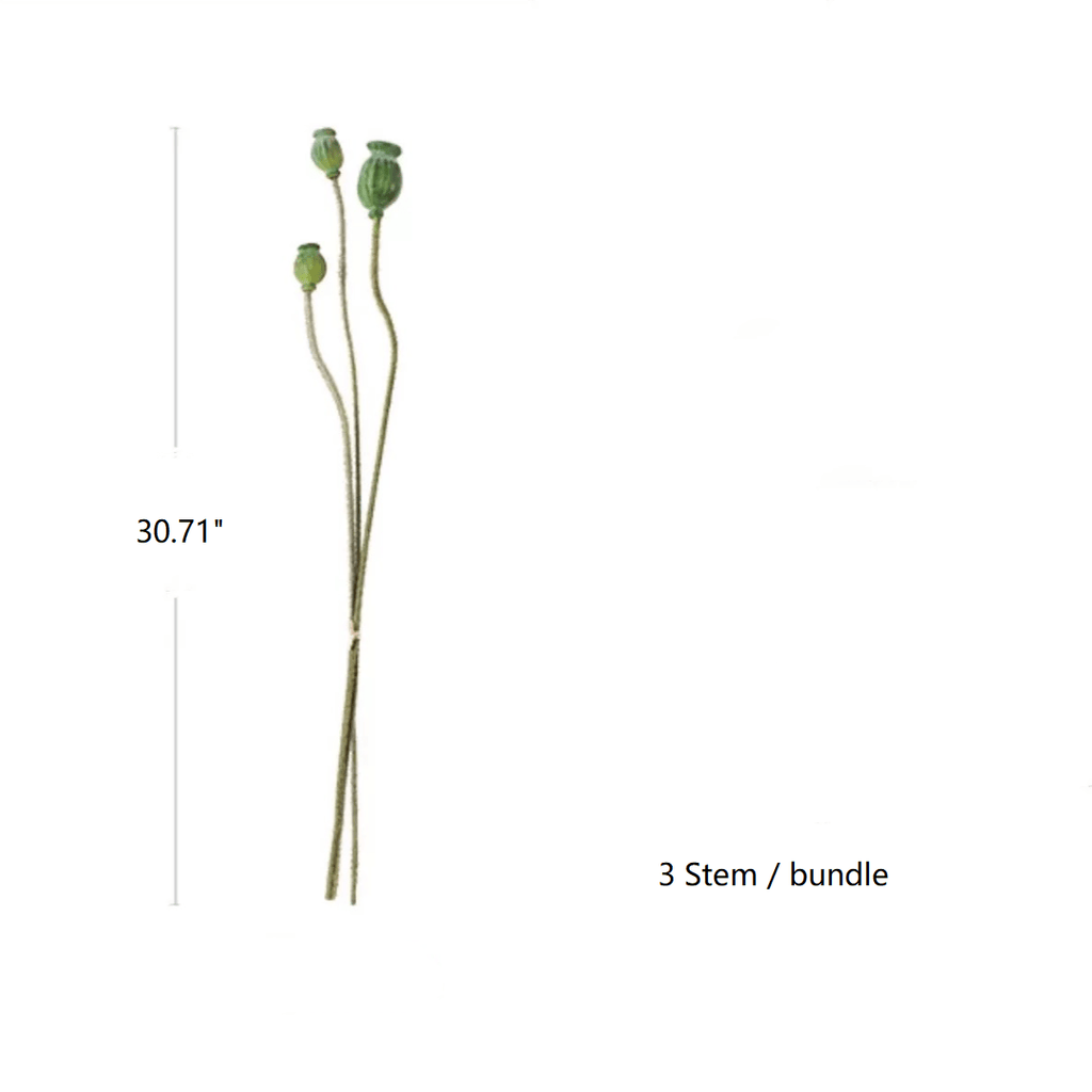Green Poppy Fruit Stem 30.7" Tall 3 - Stem Bundle - RusticReach
