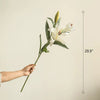 Artificial Real Touch Lily Stem 30" Tall - RusticReach