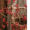Mini Fruit Berry Stem 30" Tall - RusticReach