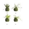 Mossy Meadow Foam Ball - RusticReach