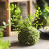 Mossy Meadow Foam Ball - RusticReach