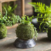 Mossy Meadow Foam Ball - RusticReach