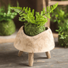 Mossy Meadow Foam Ball - RusticReach
