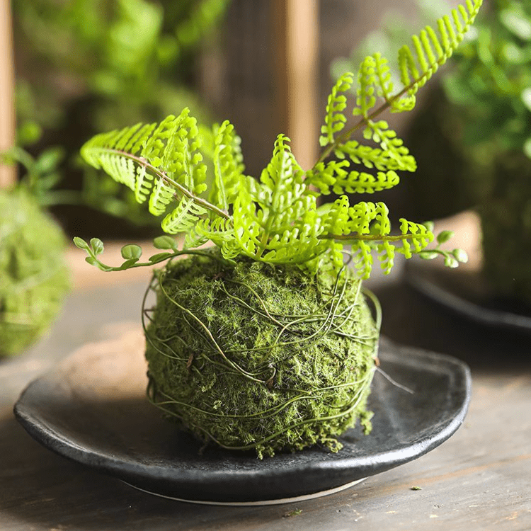 Mossy Meadow Foam Ball - RusticReach