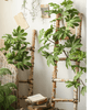 Artificial Octagonal Foliage Branch 37.4" Tall - RusticReach
