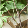 Artificial Octagonal Foliage Branch 37.4" Tall - RusticReach