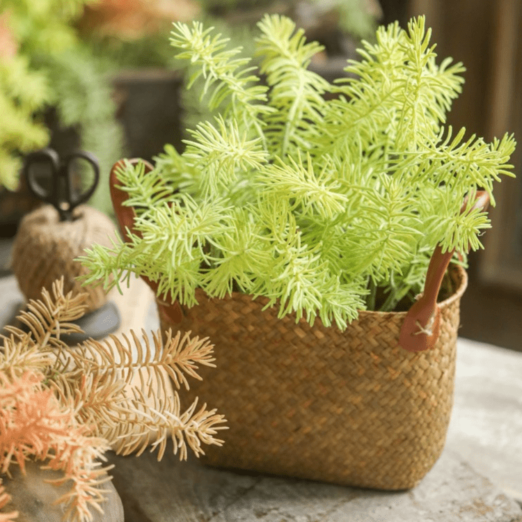 Faux Pine Leaf Stem 17.7" Tall - RusticReach