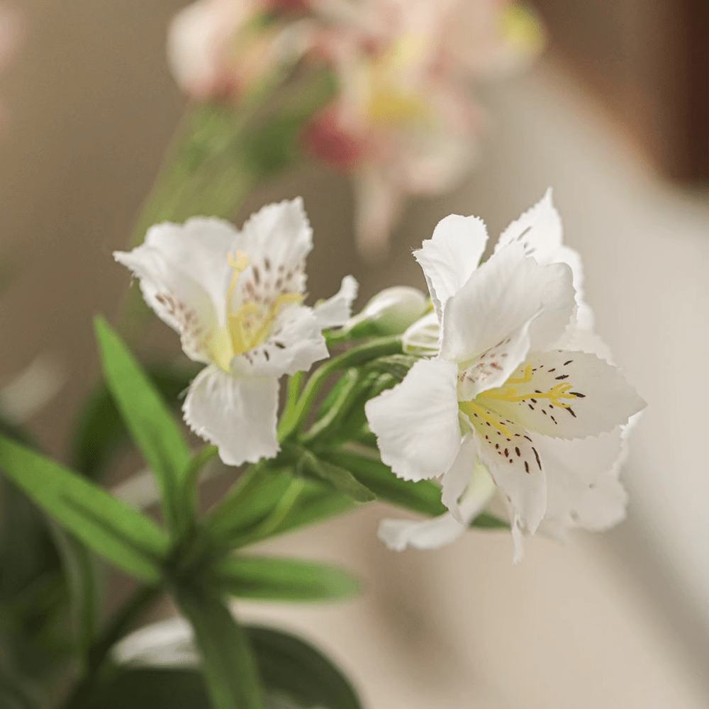 Artificial Peruvian Lily Stem 29.5" Tall - RusticReach